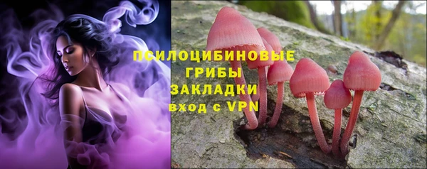 ГАЛЛЮЦИНОГЕННЫЕ ГРИБЫ Козельск
