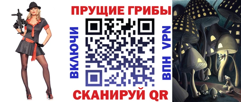 Купить где  Волосово  Псилоцибиновые грибы Psilocybe 