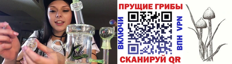 Псилоцибиновые грибы мухоморы Волосово