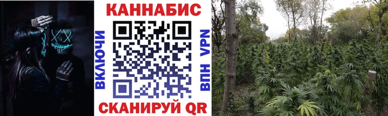 Шишки марихуана ГИДРОПОН  Купить закладки  Волосово 
